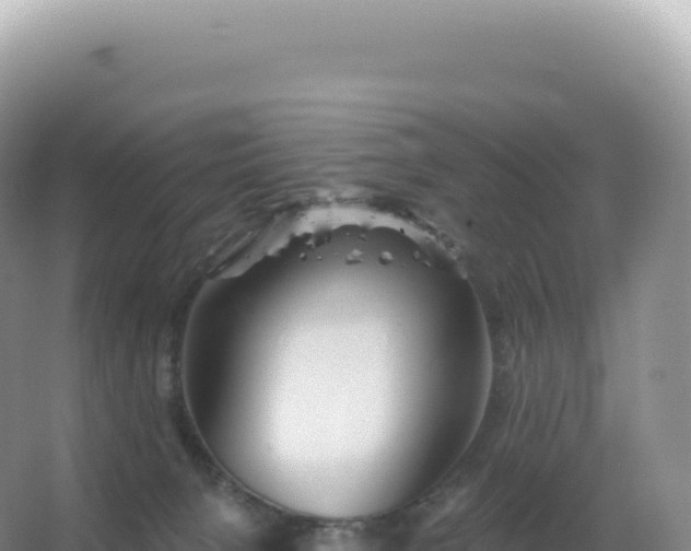 X0000067470080200604150001