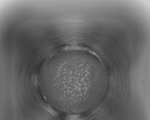 X0000067470081200604150001