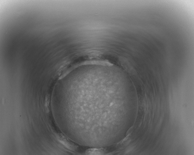 X0000067470082200604150001