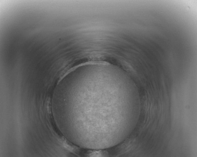 X0000067470083200604150001