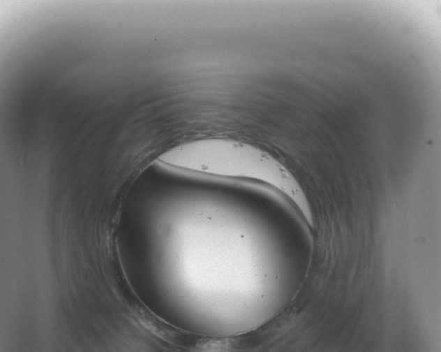 X0000067470084200604150001