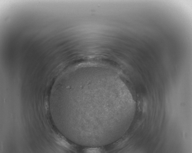 X0000067470085200604150001