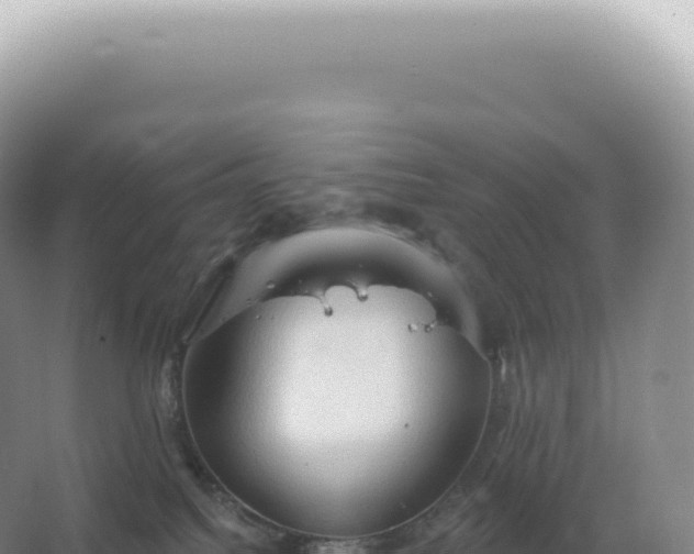 X0000067470088200604150001