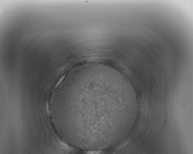 X0000067470089200604150001