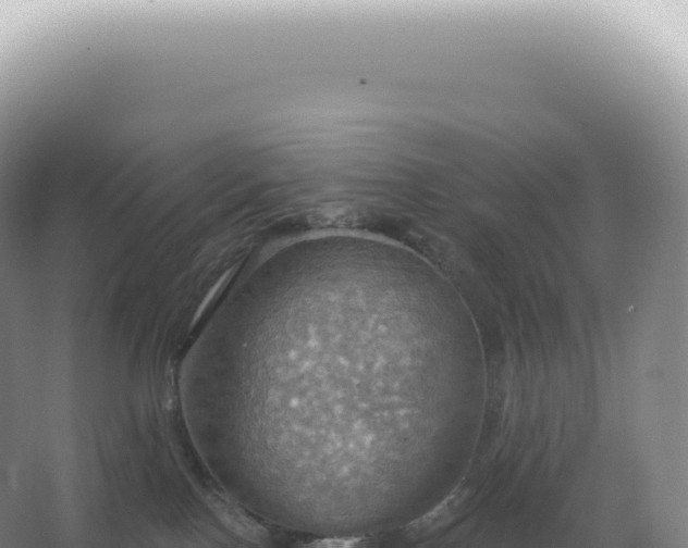 X0000067470090200604150001