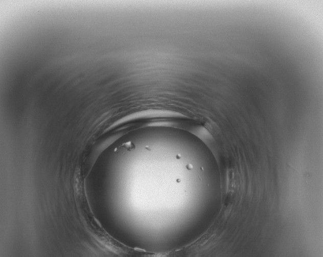 X0000067470092200604150001