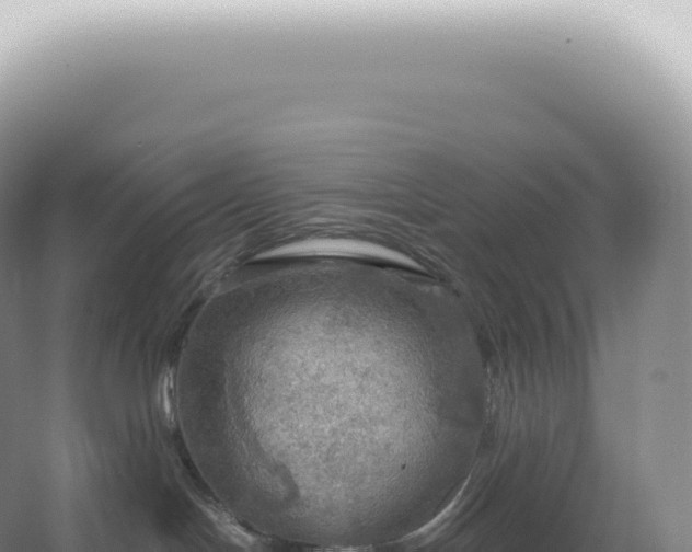 X0000067470094200604150001