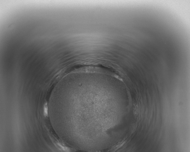 X0000067470095200604150001