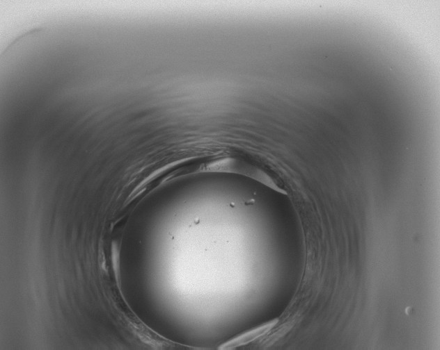 X0000067470096200604150001