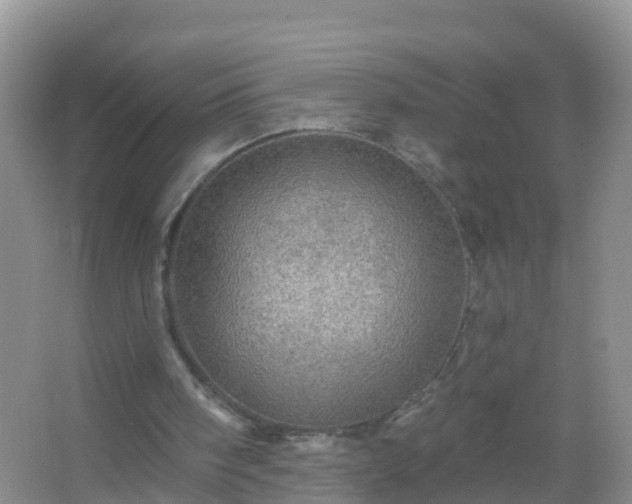 X0000067470098200604150001