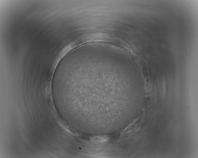 X0000067470099200604150001