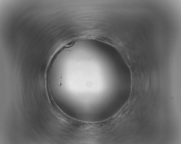 X0000067470100200604150001