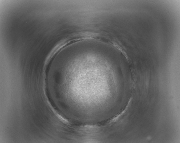 X0000067470101200604150000