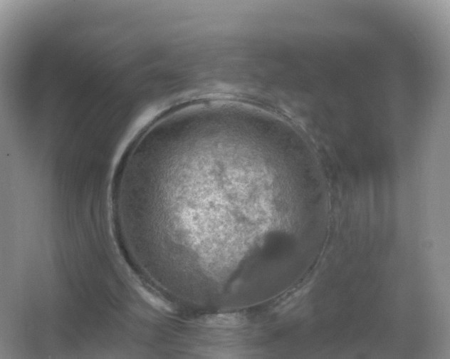 X0000067470102200604150000