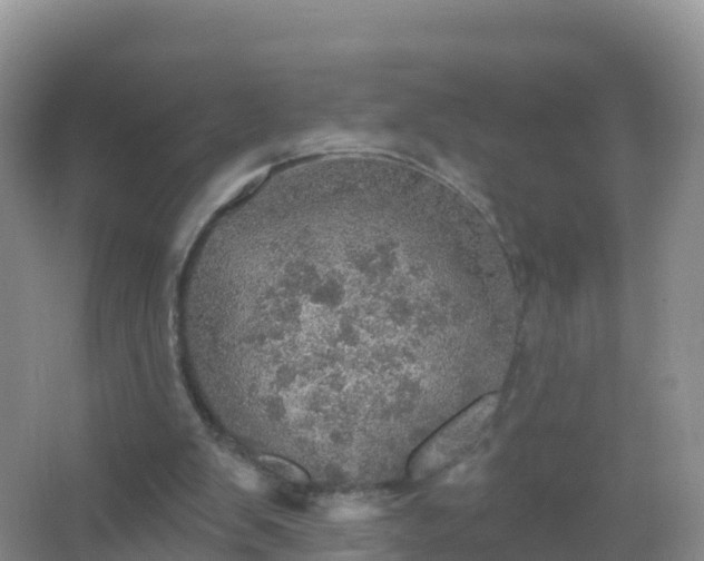 X0000067470103200604150000