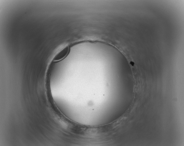 X0000067470104200604150000