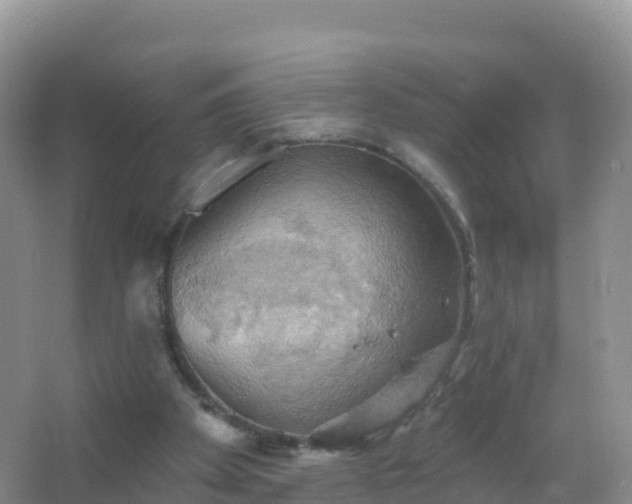 X0000067470105200604150000