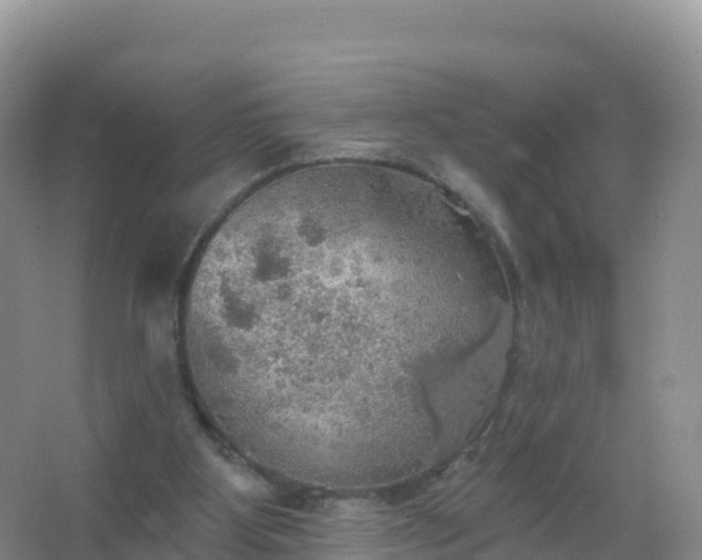 X0000067470107200604150000