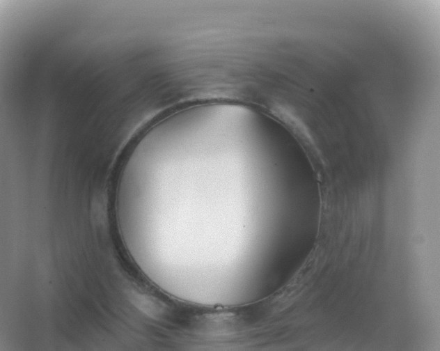 X0000067470108200604150000