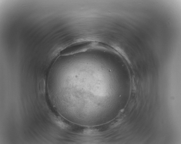 X0000067470109200604150000