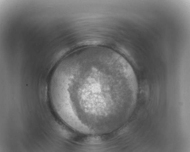 X0000067470110200604150000