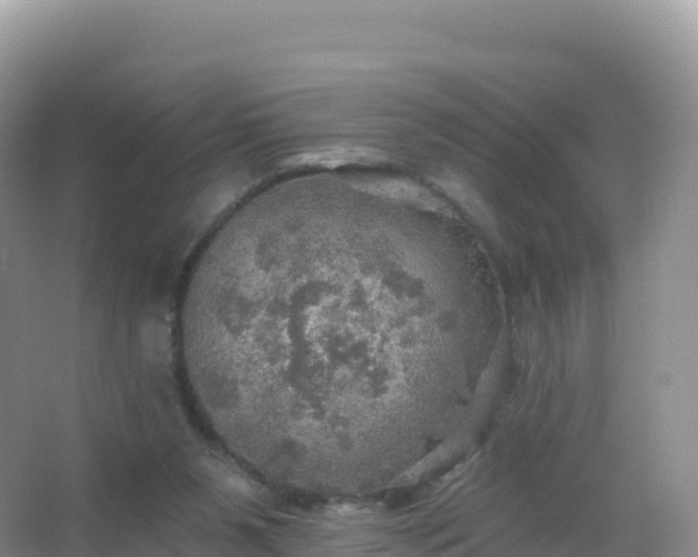 X0000067470111200604150000