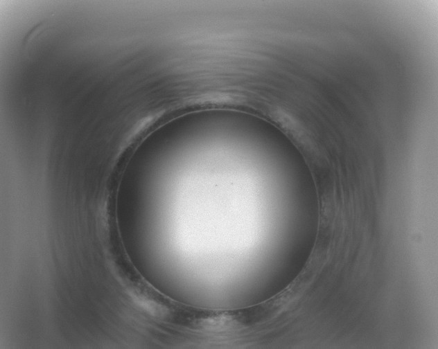 X0000067470112200604150000