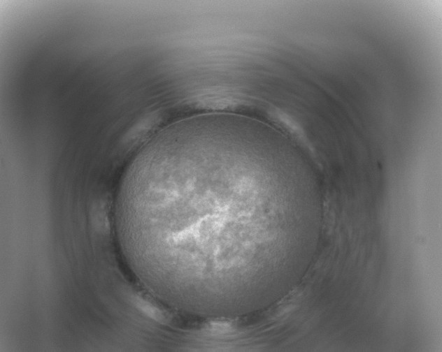 X0000067470114200604150000