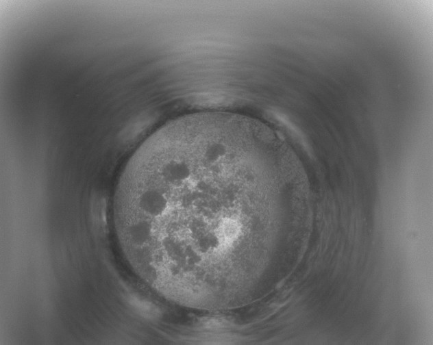 X0000067470115200604150000