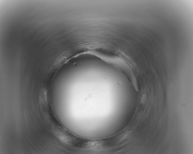 X0000067470117200604150000