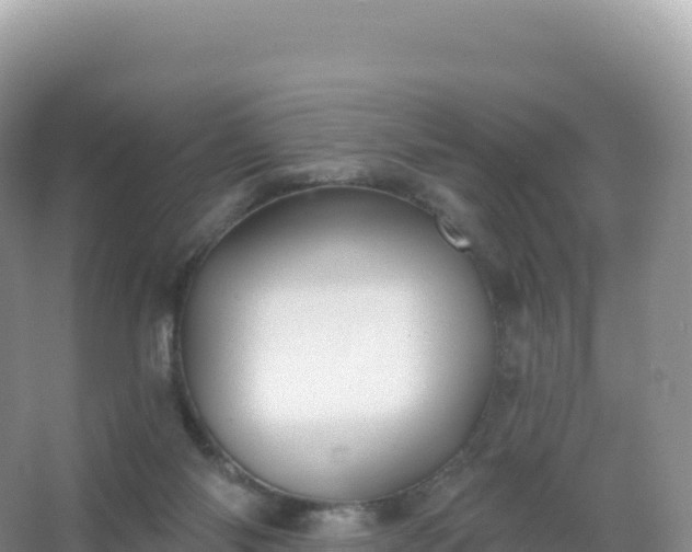 X0000067470118200604150000