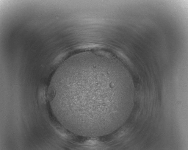 X0000067470119200604150000