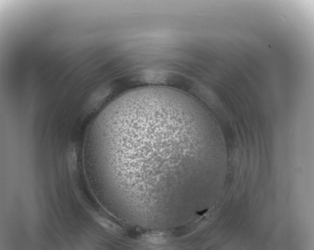 X0000067470120200604150000