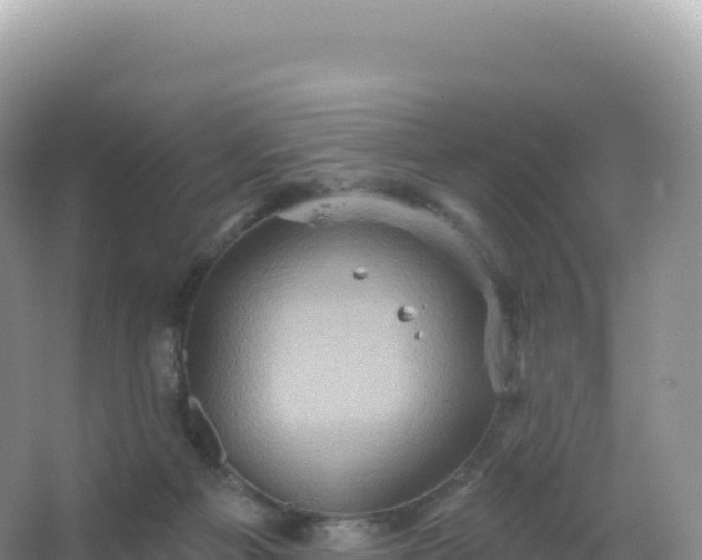 X0000067470121200604150000