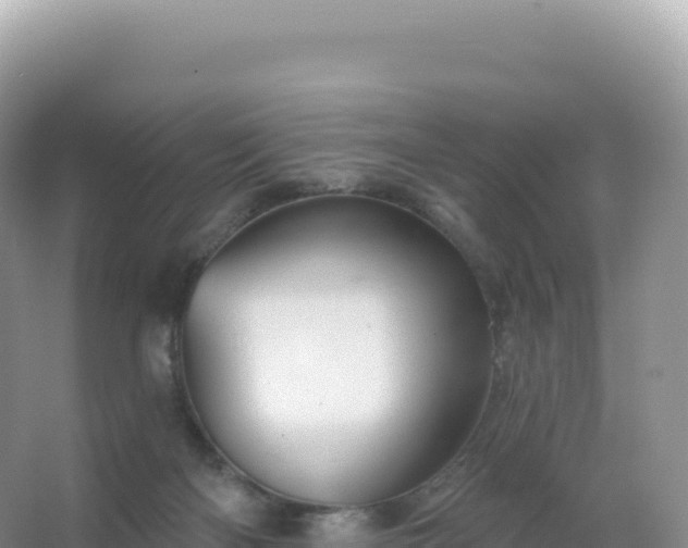 X0000067470122200604150000