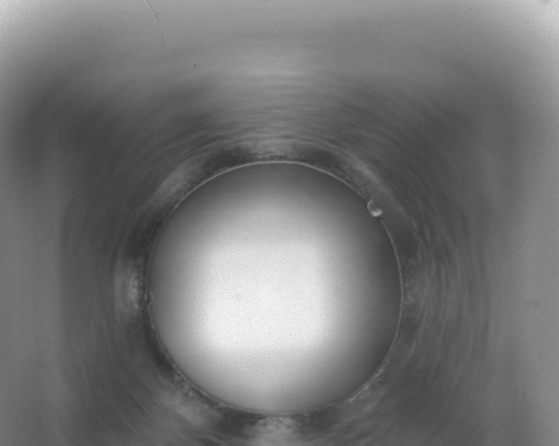 X0000067470124200604150000