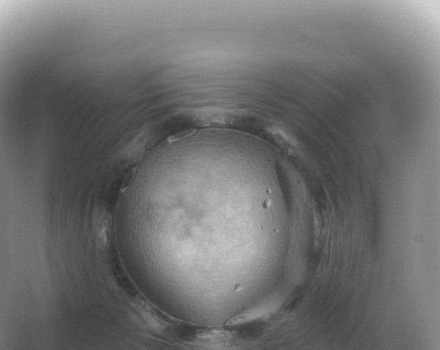 X0000067470125200604150000