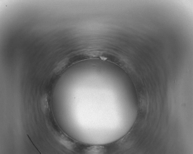 X0000067470128200604150000