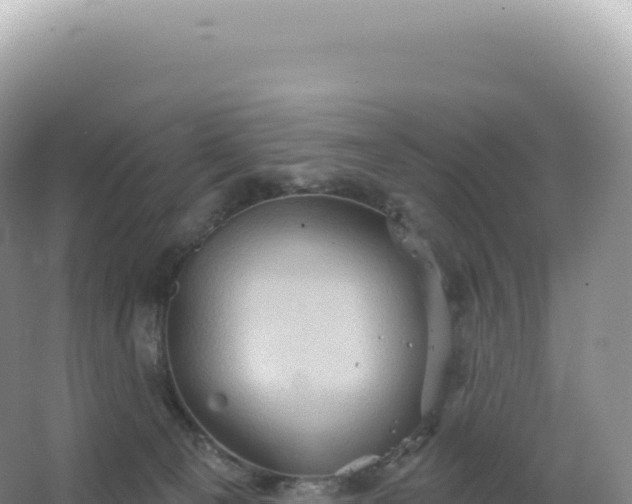 X0000067470129200604150000