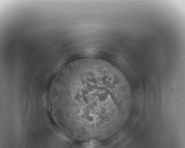 X0000067470131200604150000