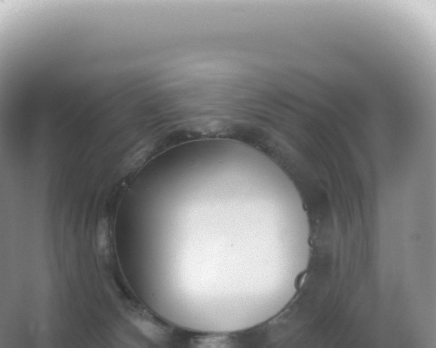 X0000067470132200604150000