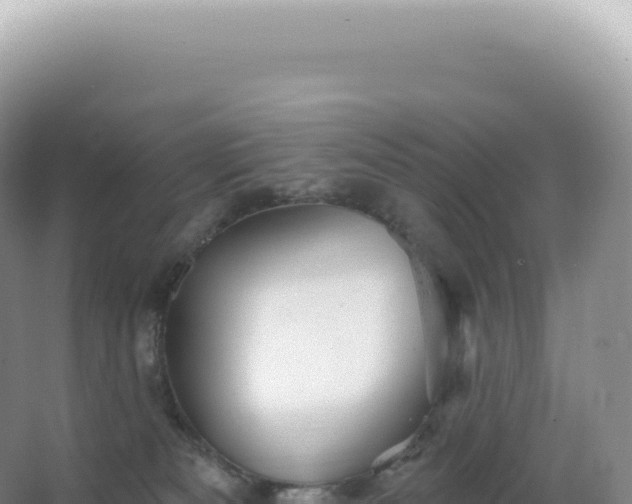 X0000067470133200604150000