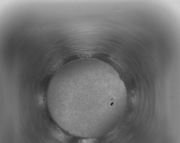 X0000067470134200604150000