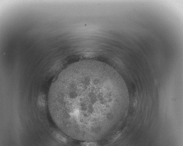 X0000067470135200604150000