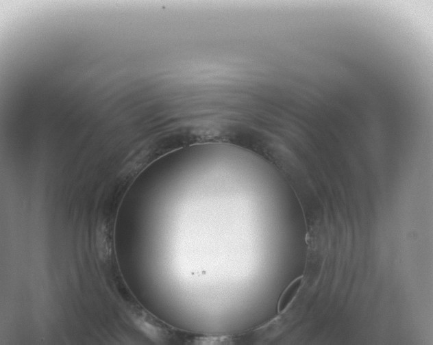 X0000067470136200604150000