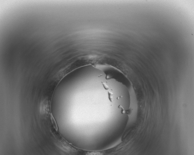 X0000067470137200604150000