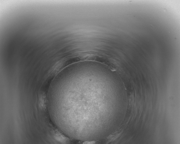 X0000067470138200604150000