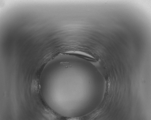 X0000067470139200604150000