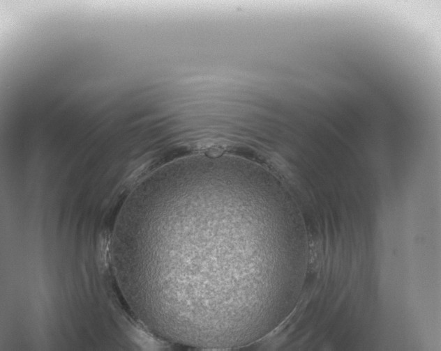 X0000067470142200604150000