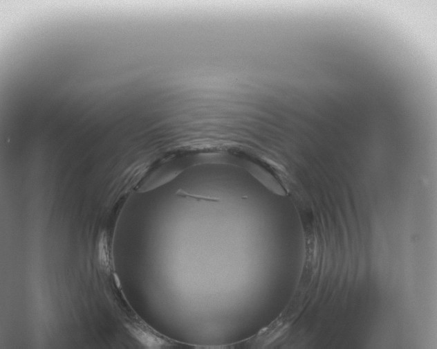 X0000067470143200604150000